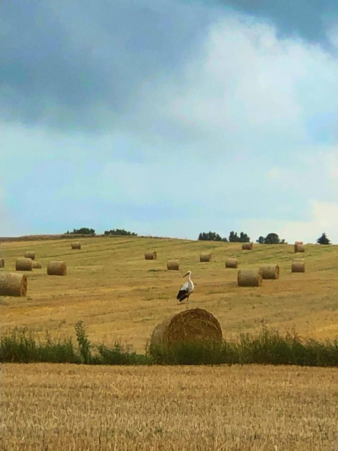 Agroturystyka „Nadbuzanski Swit” Wola Uhruska Exterior foto